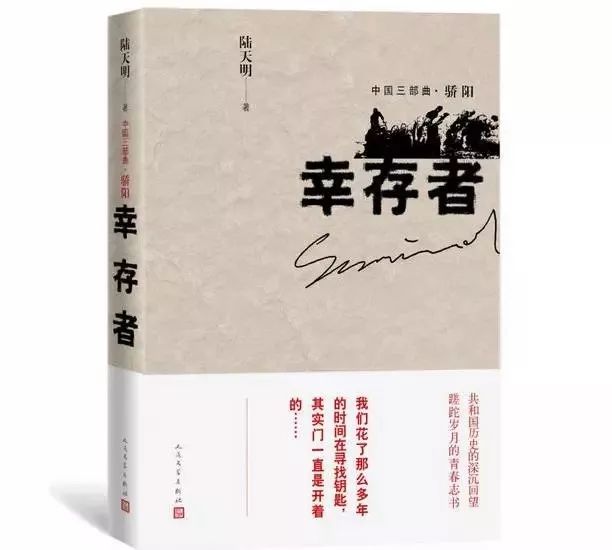 丁長林章亮雨最新章節(jié)閱讀，探尋故事的深度與魅力