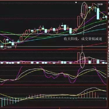 最新牛散持股一覽表，揭示市場主力動(dòng)向